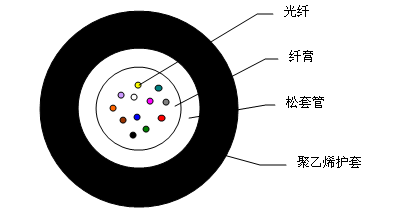 龙腾国际