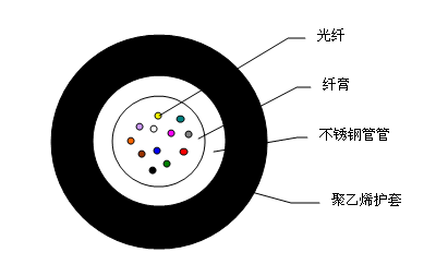 龙腾国际
