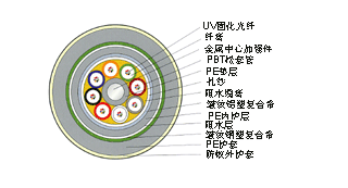 龙腾国际