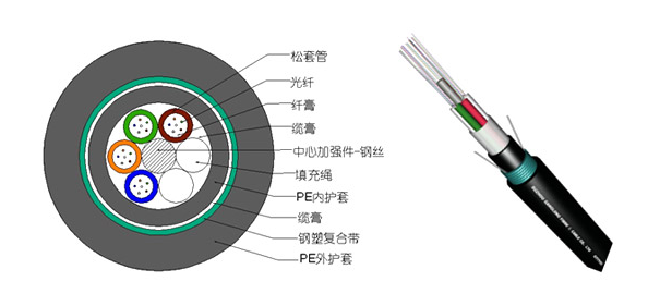 龙腾国际