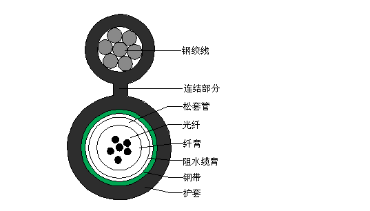 龙腾国际