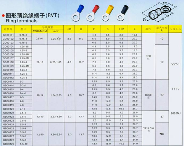 龙腾国际