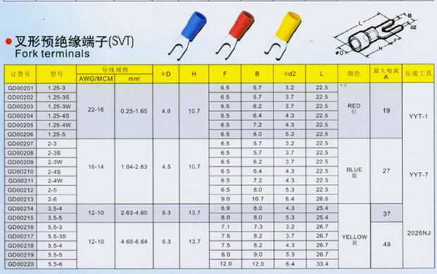 龙腾国际