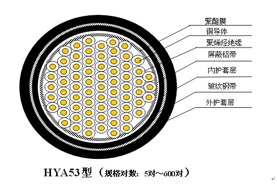 龙腾国际