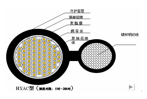 龙腾国际