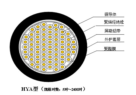 龙腾国际