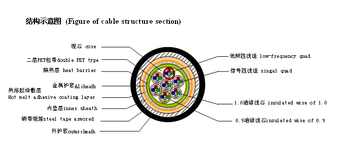 龙腾国际