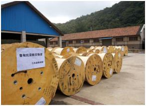 龙腾心系社会 倾情援助鲁甸