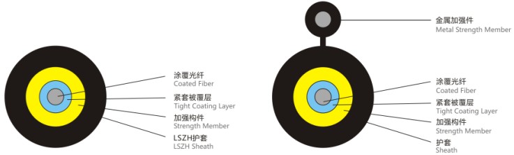 龙腾国际