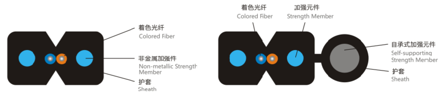 龙腾国际