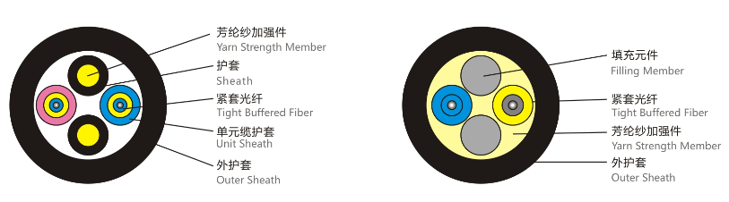 龙腾国际