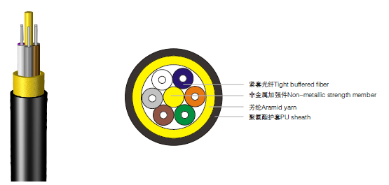 龙腾国际