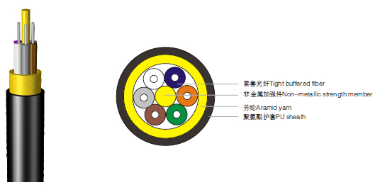 龙腾国际