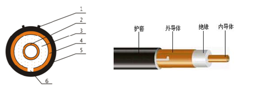 龙腾国际