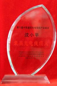 稳中求进 创新升级 健康发展 ——龙腾参加第六届中国通信光电线缆产业峰会暨表彰大会