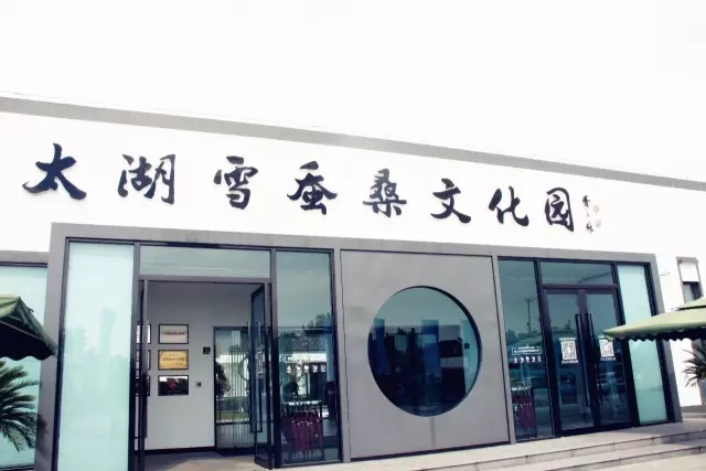 走出象牙塔，从爱上龙腾开始