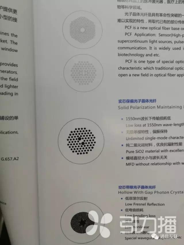 龙腾国际