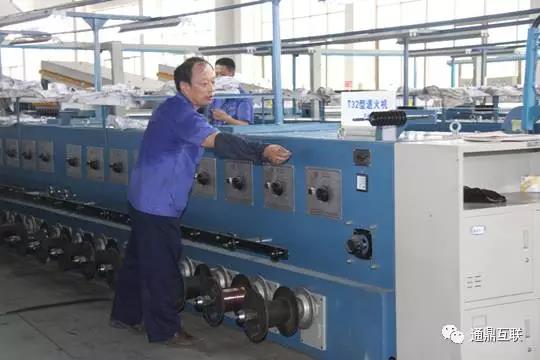 【龙腾人物】为党旗增色 为党徽添彩