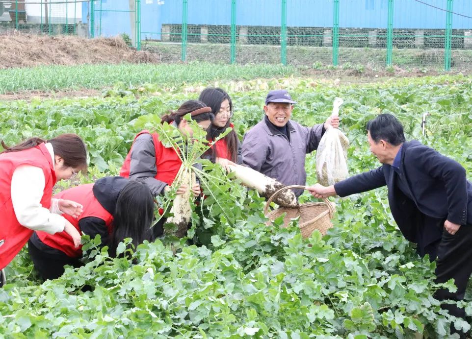 让员工吃上放心菜│“龙腾爱心菜篮子”工程启动