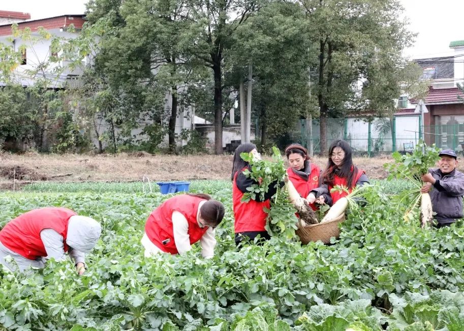 让员工吃上放心菜│“龙腾爱心菜篮子”工程启动