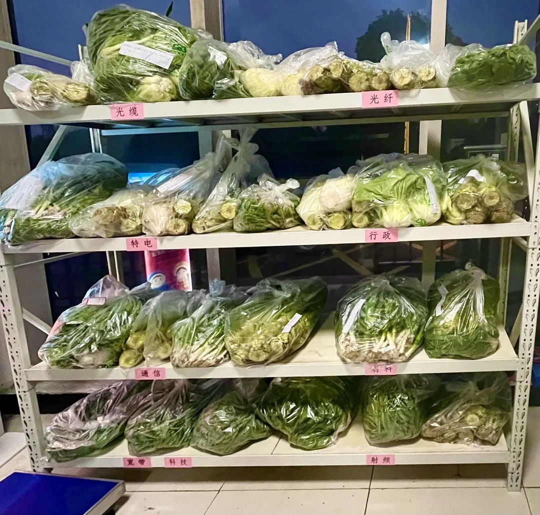 让员工吃上放心菜│“龙腾爱心菜篮子”工程启动
