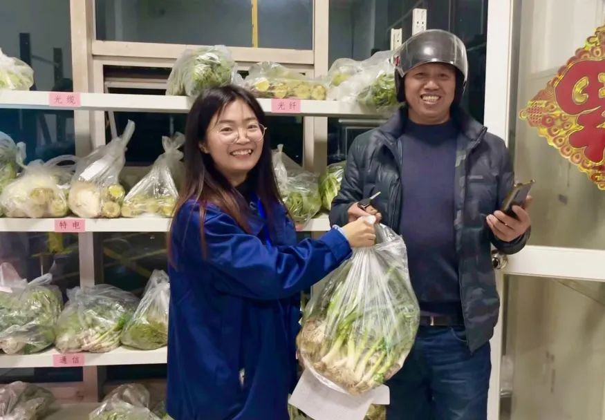 让员工吃上放心菜│“龙腾爱心菜篮子”工程启动