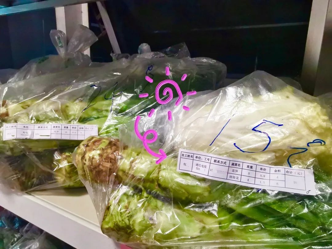 让员工吃上放心菜│“龙腾爱心菜篮子”工程启动