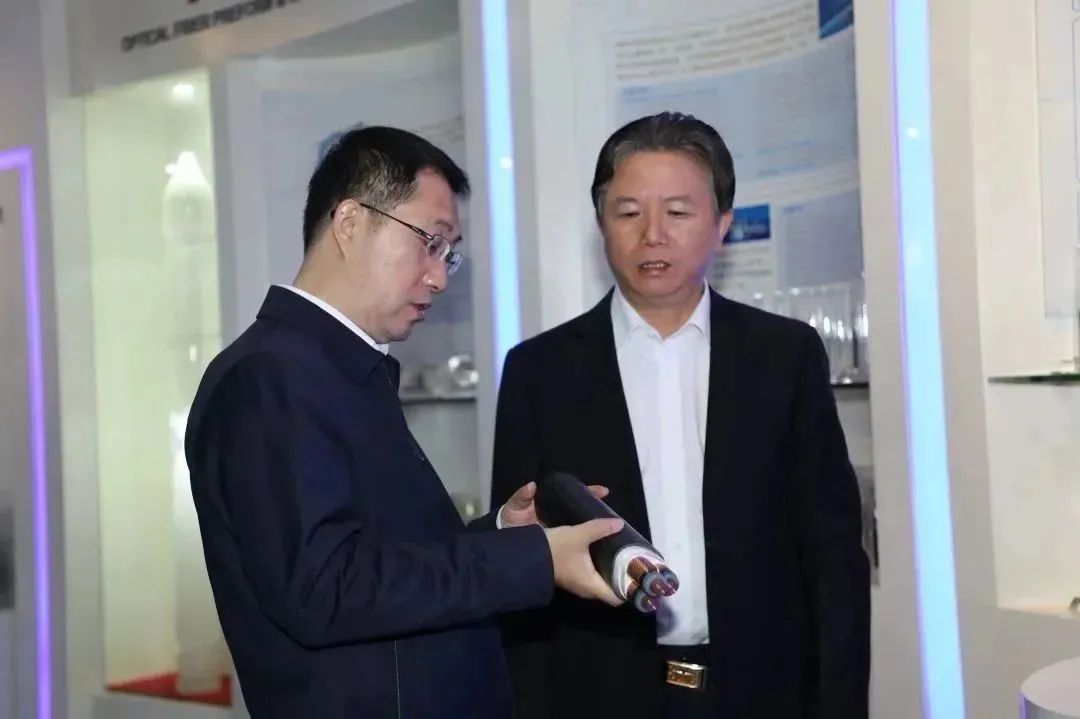倾听心声、护航发展|苏州市委副书记、市长吴庆文一行走访调研龙腾国际