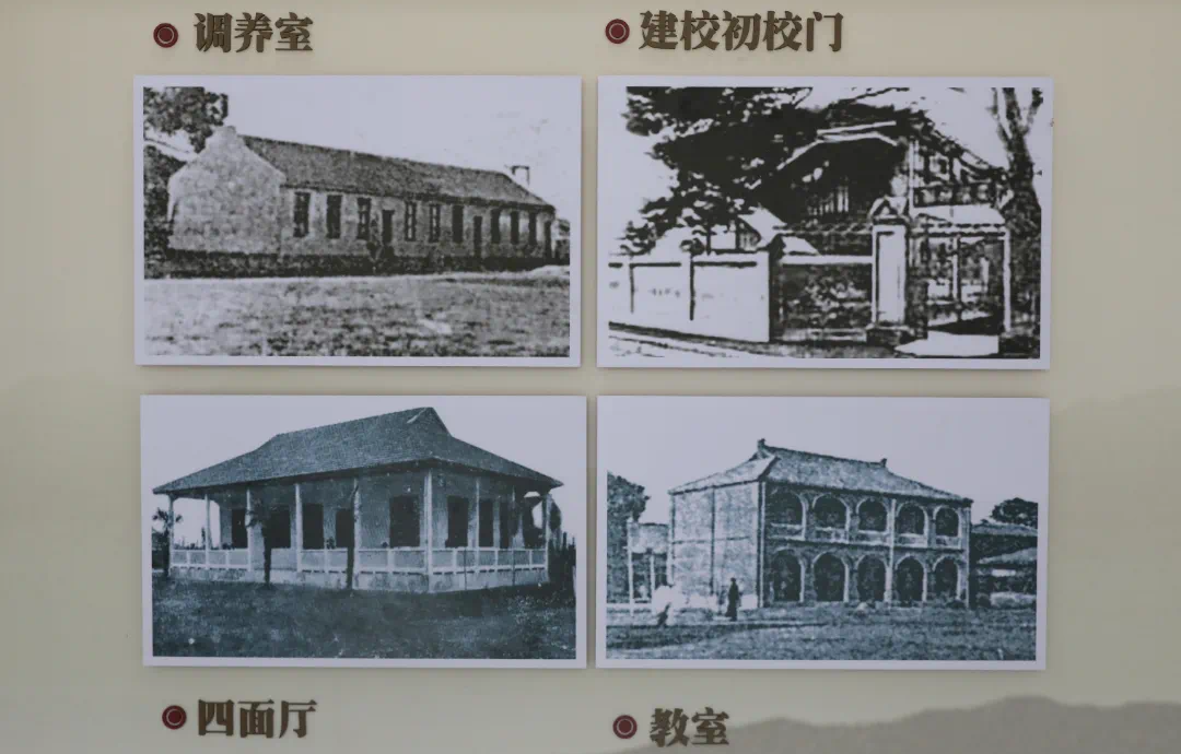 情系家乡教育∣龙腾国际向震泽中学捐赠1000万元 情系家乡教育∣龙腾国际向震泽中学捐赠1000万元