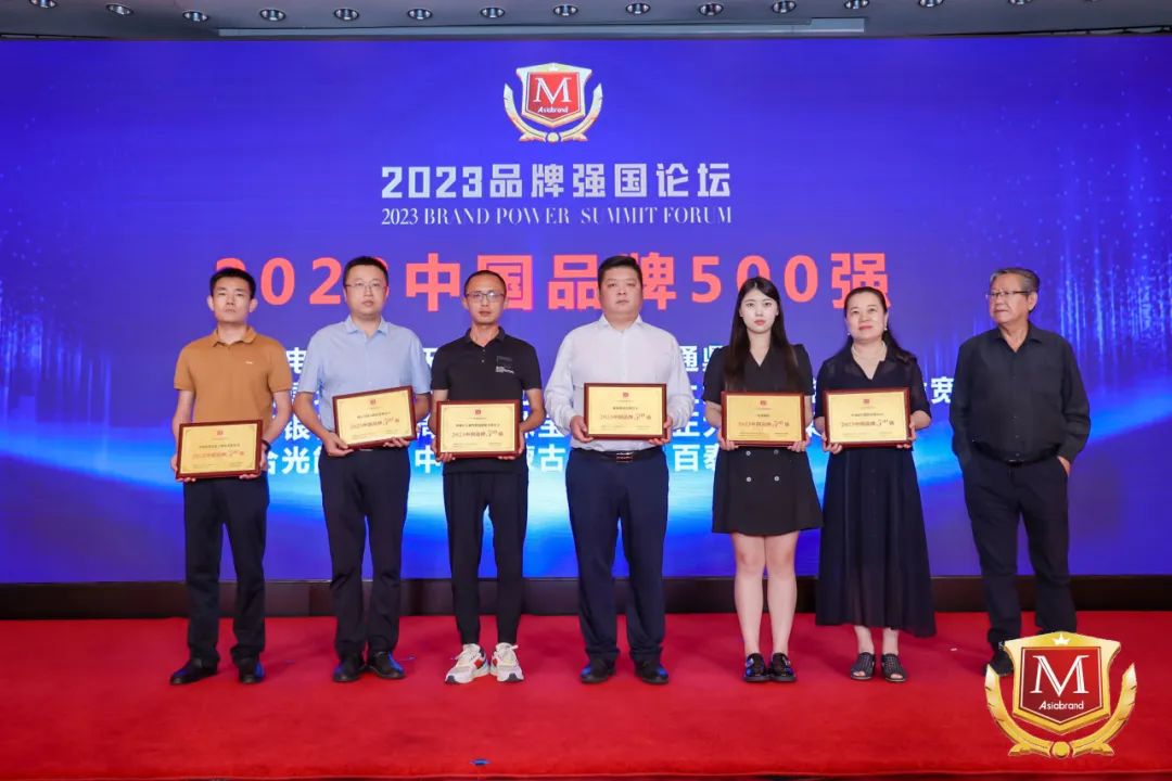 品牌引领 载誉前行“中国品牌500强”龙腾国际榜上有名