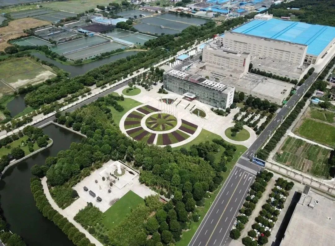 向光躬行┃龙腾国际连续7年荣膺“中国企业500强”