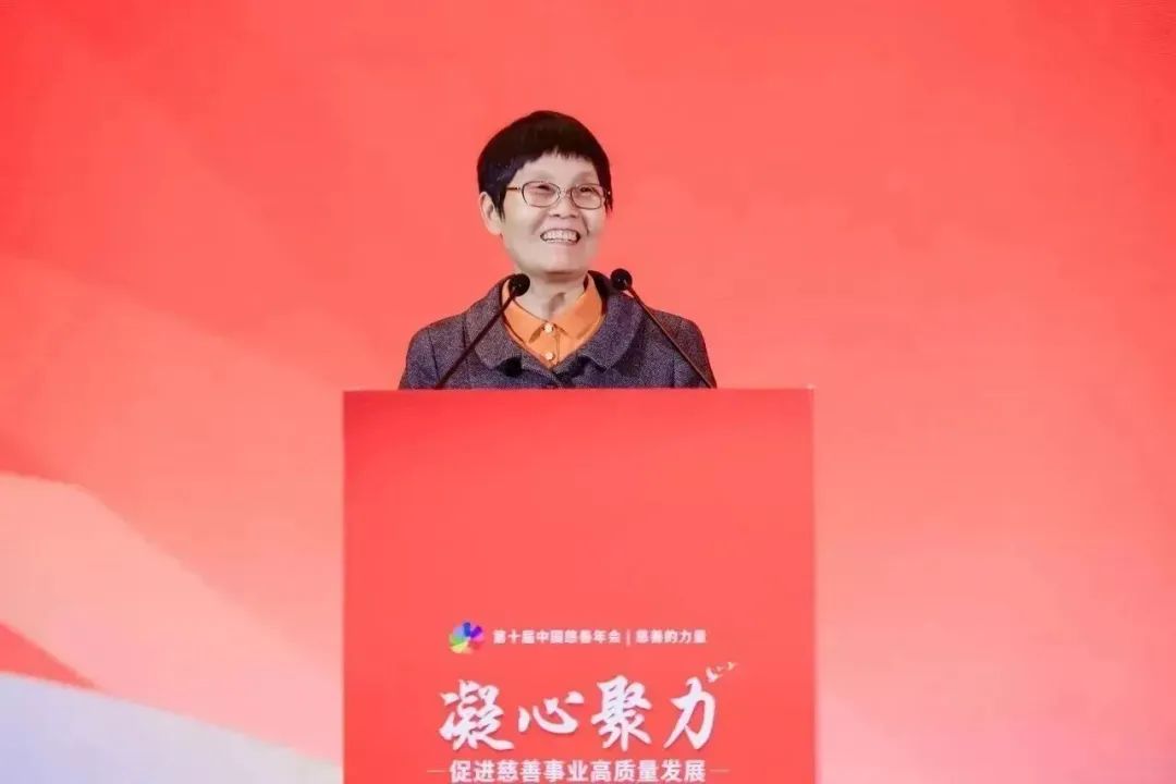 龙腾国际董事长沈小平受邀参加第十届中国慈善年会