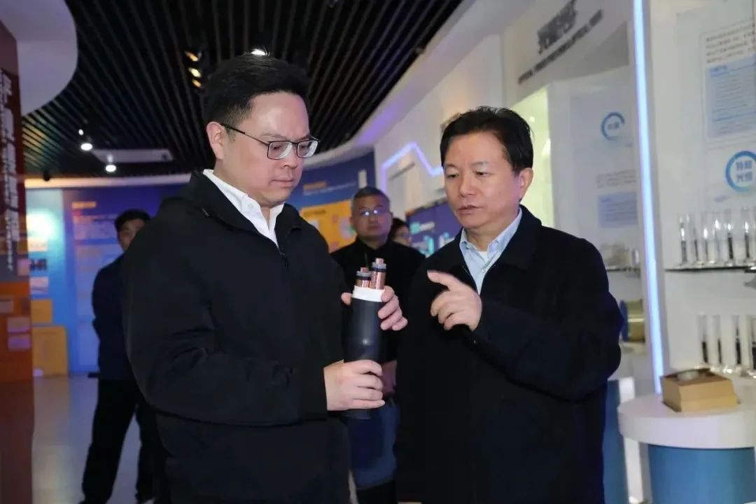司法助企|苏州市吴江区人民法院调研组走访龙腾“听心声”