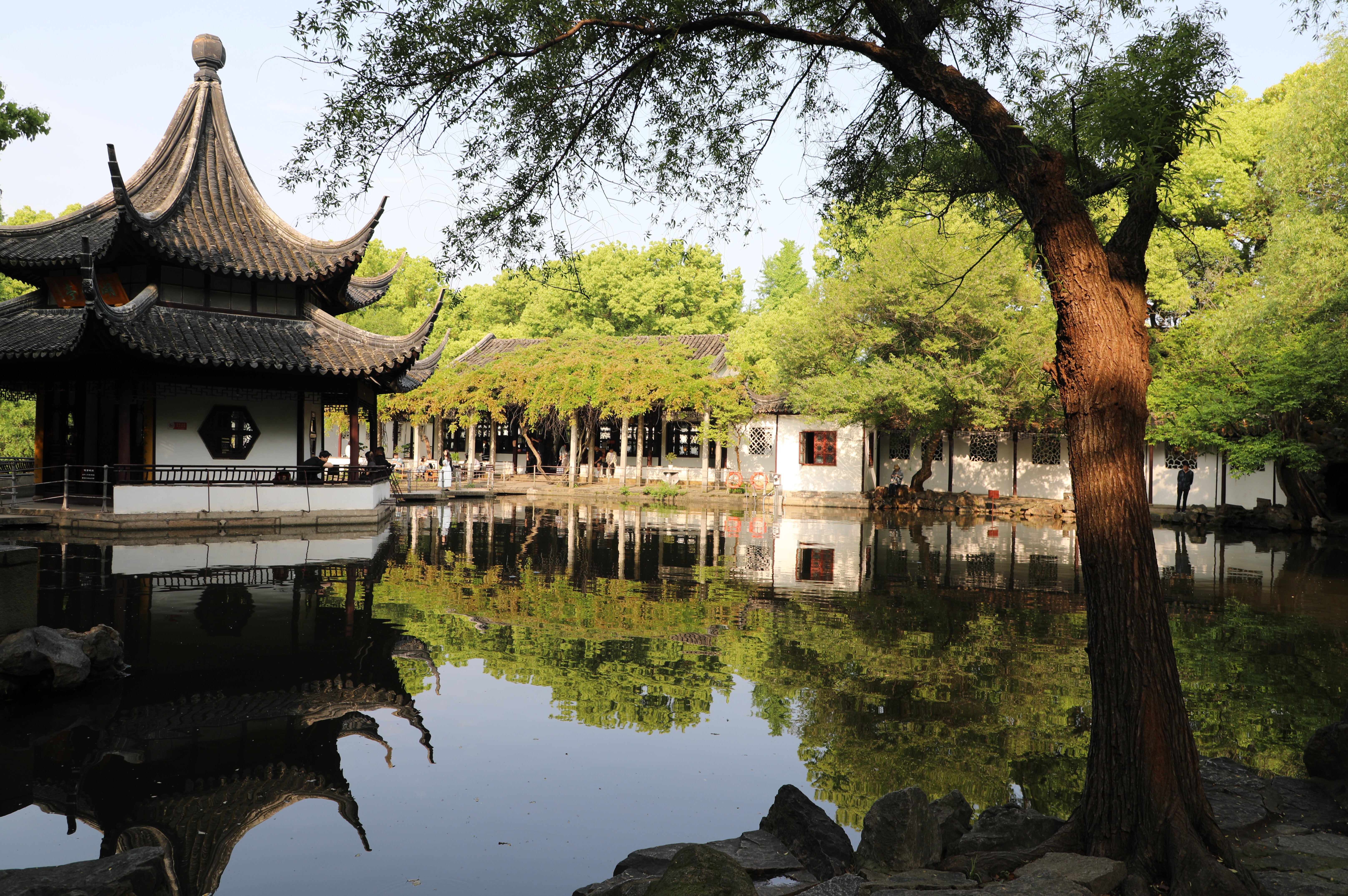 读万卷书，行万里路 | 2024年龙腾国际开展读书月系列活动