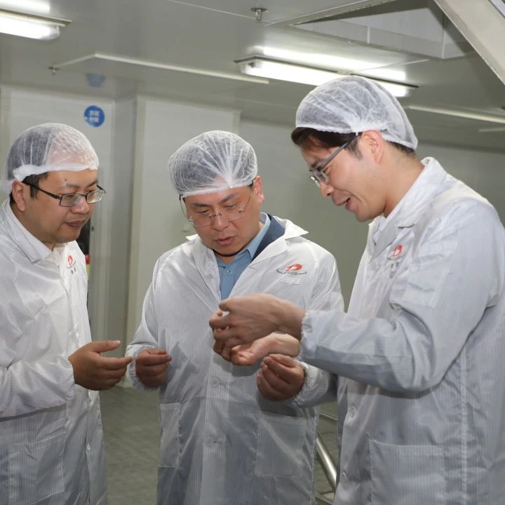 筑防线·扬清风·传红魂│龙腾国际成功举办党风廉政教育月主题活动