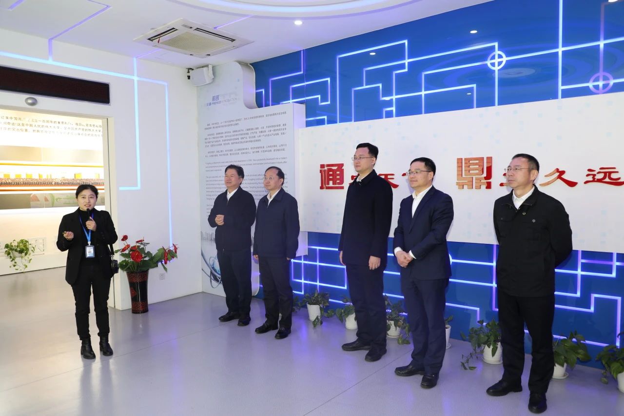 苏州市副市长查颖冬一行调研龙腾，政企协作激活发展“新引擎”